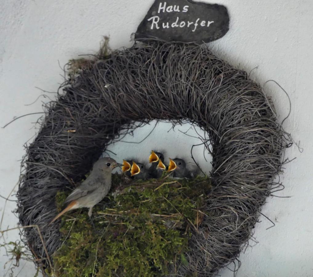 Ferienweingut Rudorfer Hotel Valwig Exterior photo